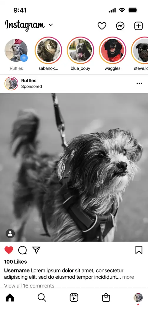 Чтение чатов и сообщений в Instagram  | InstHacker